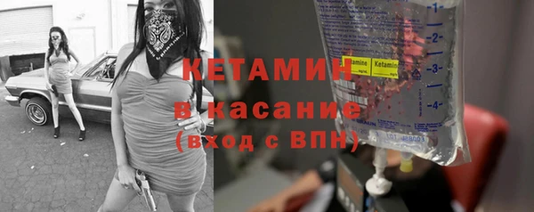 прущие грибы Кодинск