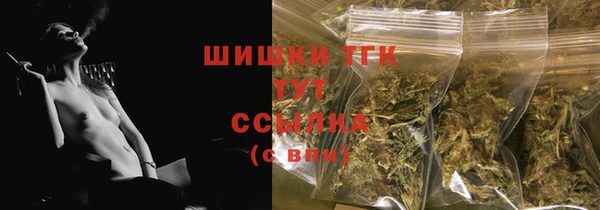 прущие грибы Кодинск