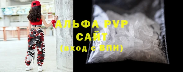 прущие грибы Кодинск