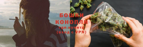 mdpv Козловка