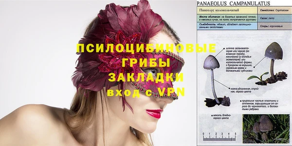 mdpv Козловка