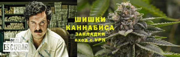 прущие грибы Кодинск