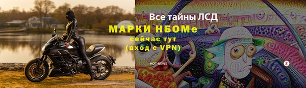 прущие грибы Кодинск