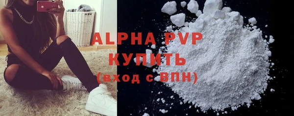 прущие грибы Кодинск