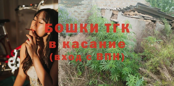прущие грибы Кодинск
