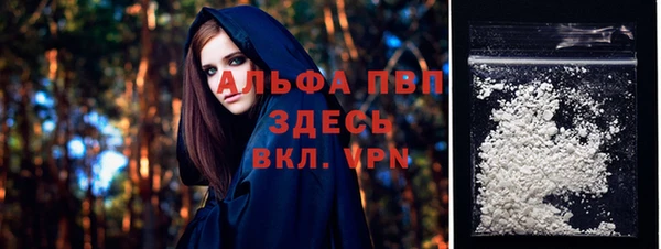 прущие грибы Кодинск