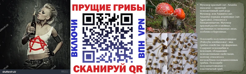 Купить где  Енисейск  Псилоцибиновые грибы прущие грибы 