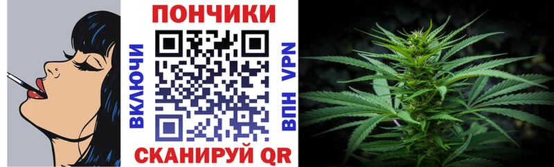 Купить где  Енисейск  МАРИХУАНА SATIVA & INDICA 